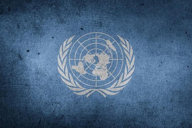Birleşmiş Milletler Küresel Eğilimler Projesi