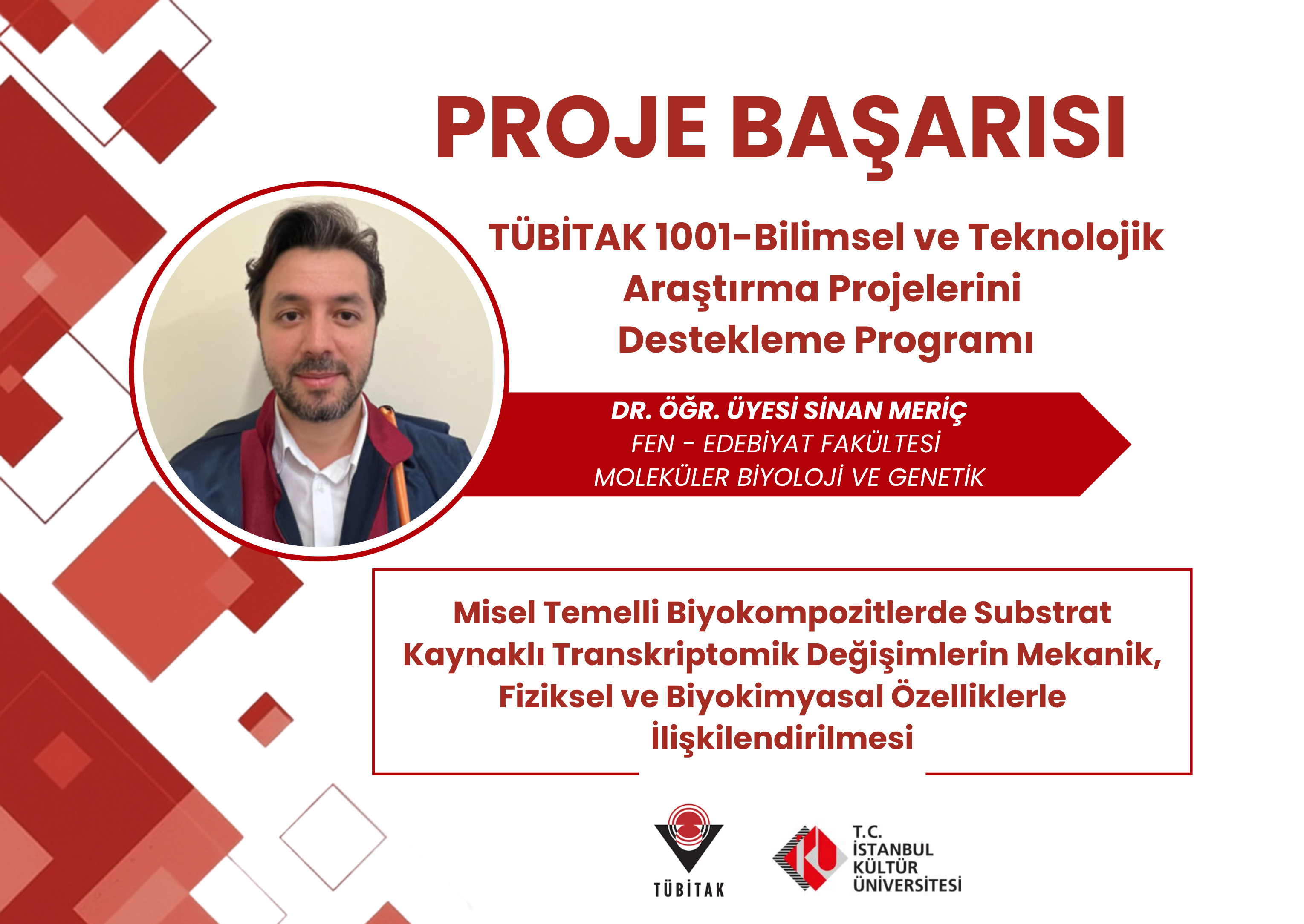 Proje Başarısı 311