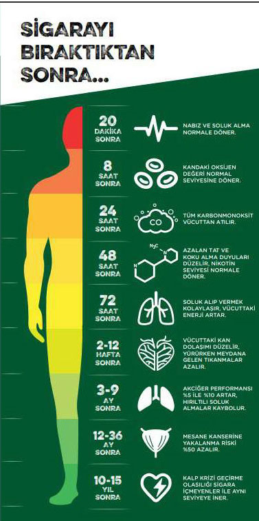Türkiye Bağımlılıkla Mücadele Programı | Tütün ve Tütün Bağımlılığı
