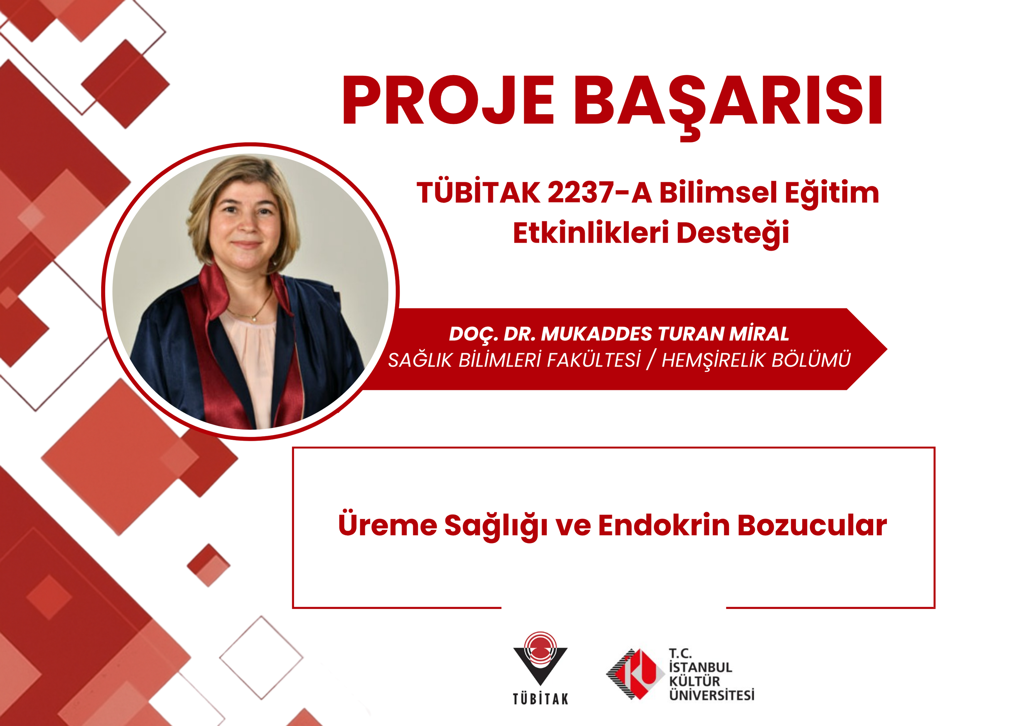 Proje Başarısı 13