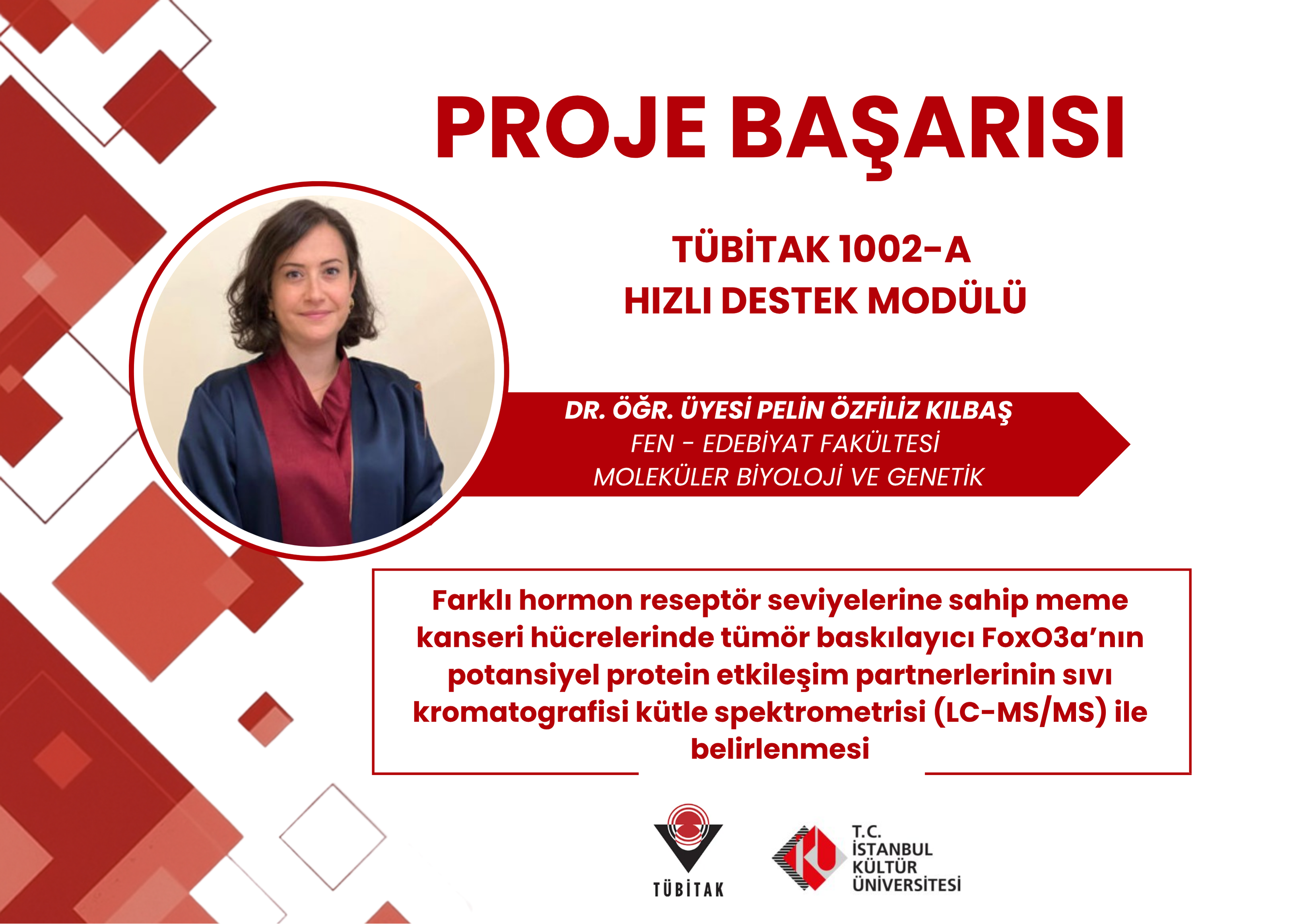 Proje Başarısı 14