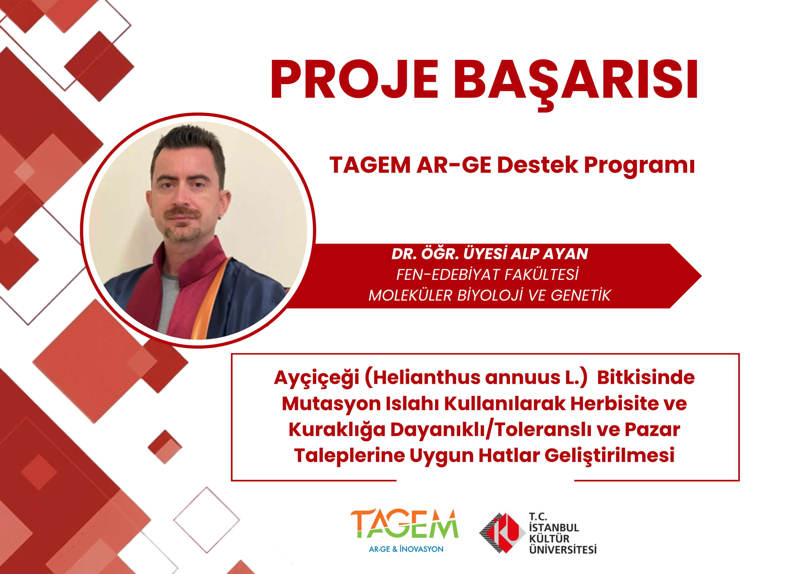 Proje Başarısı 15
