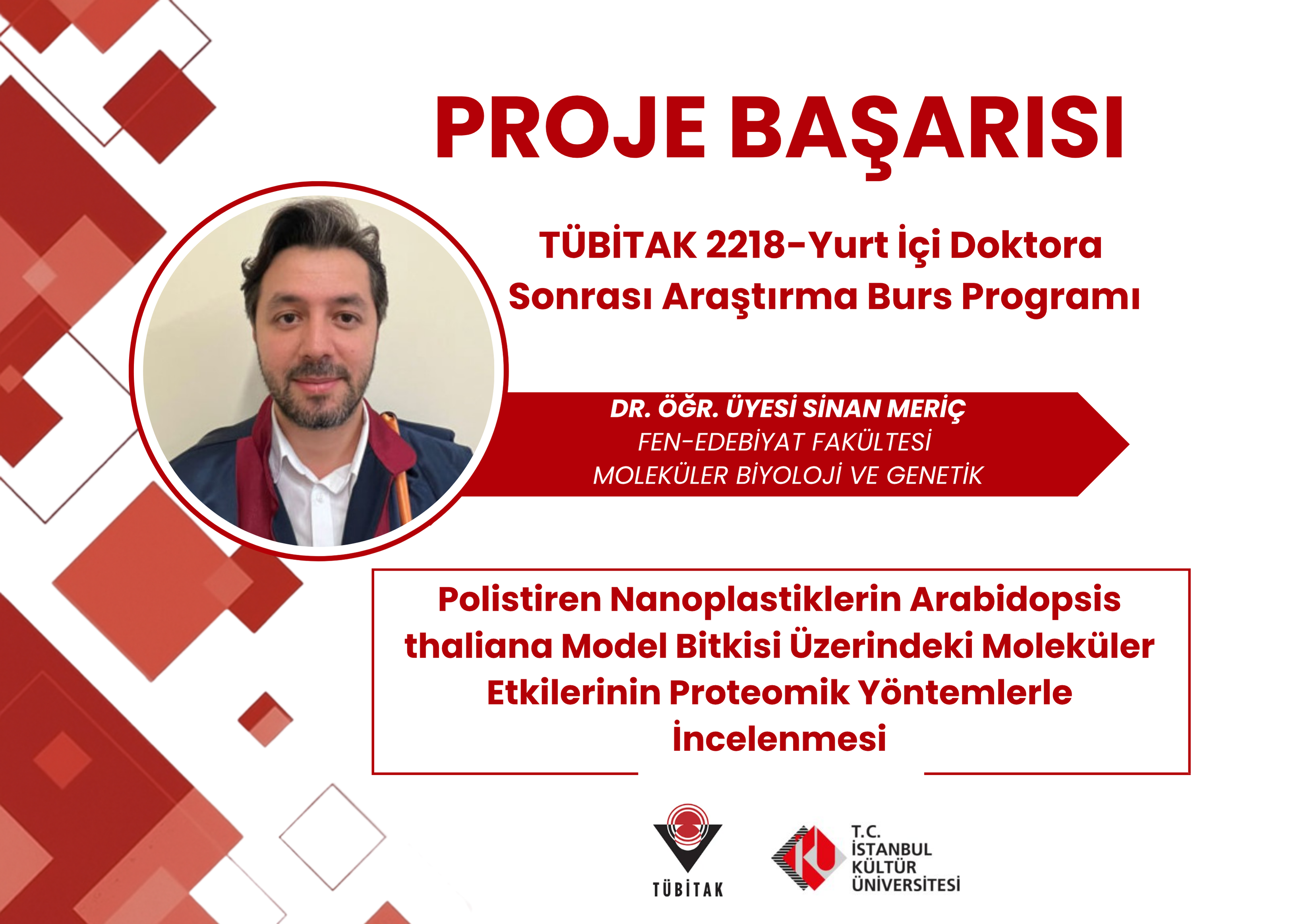 Proje Başarısı 17