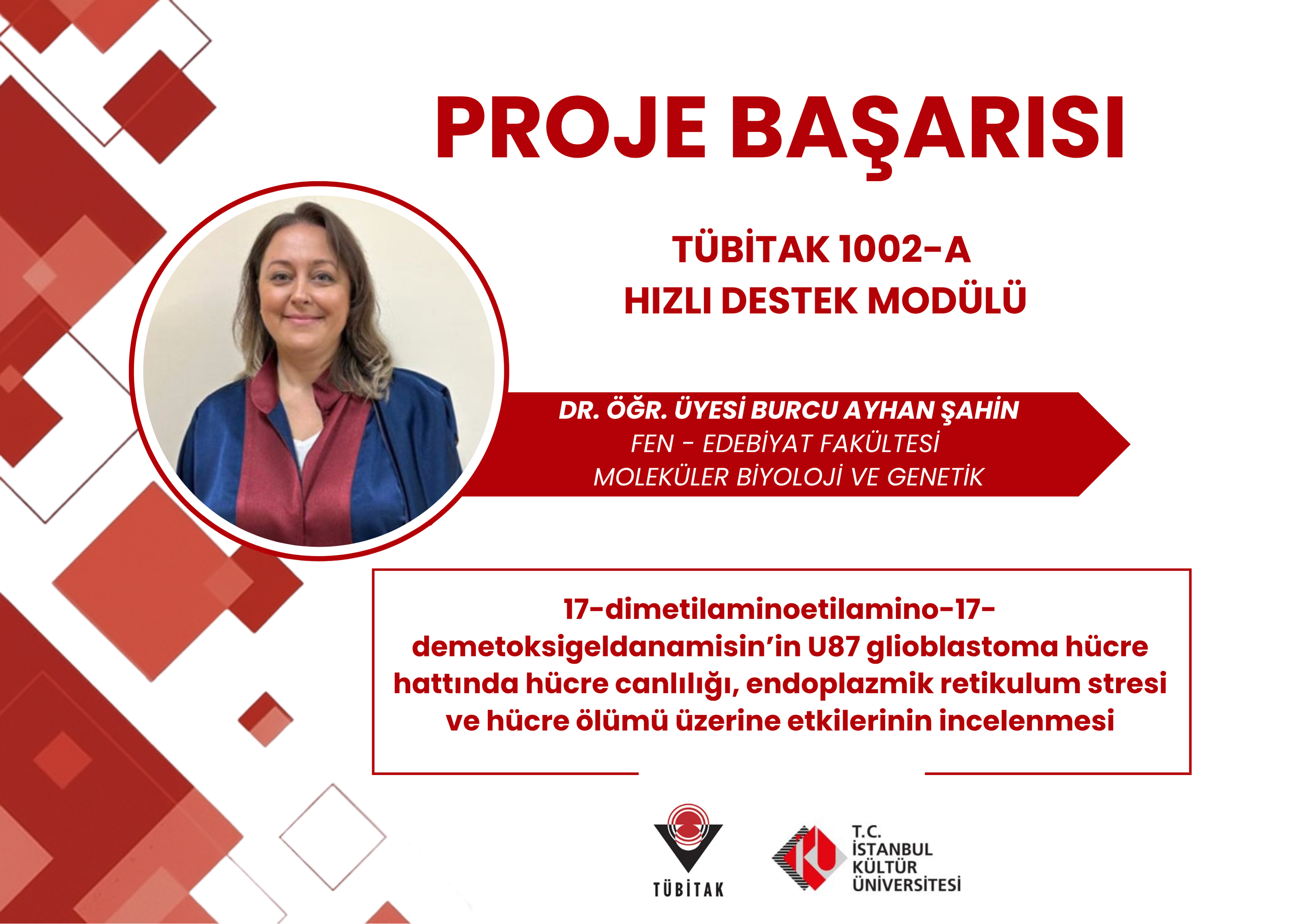 Proje Başarısı 18
