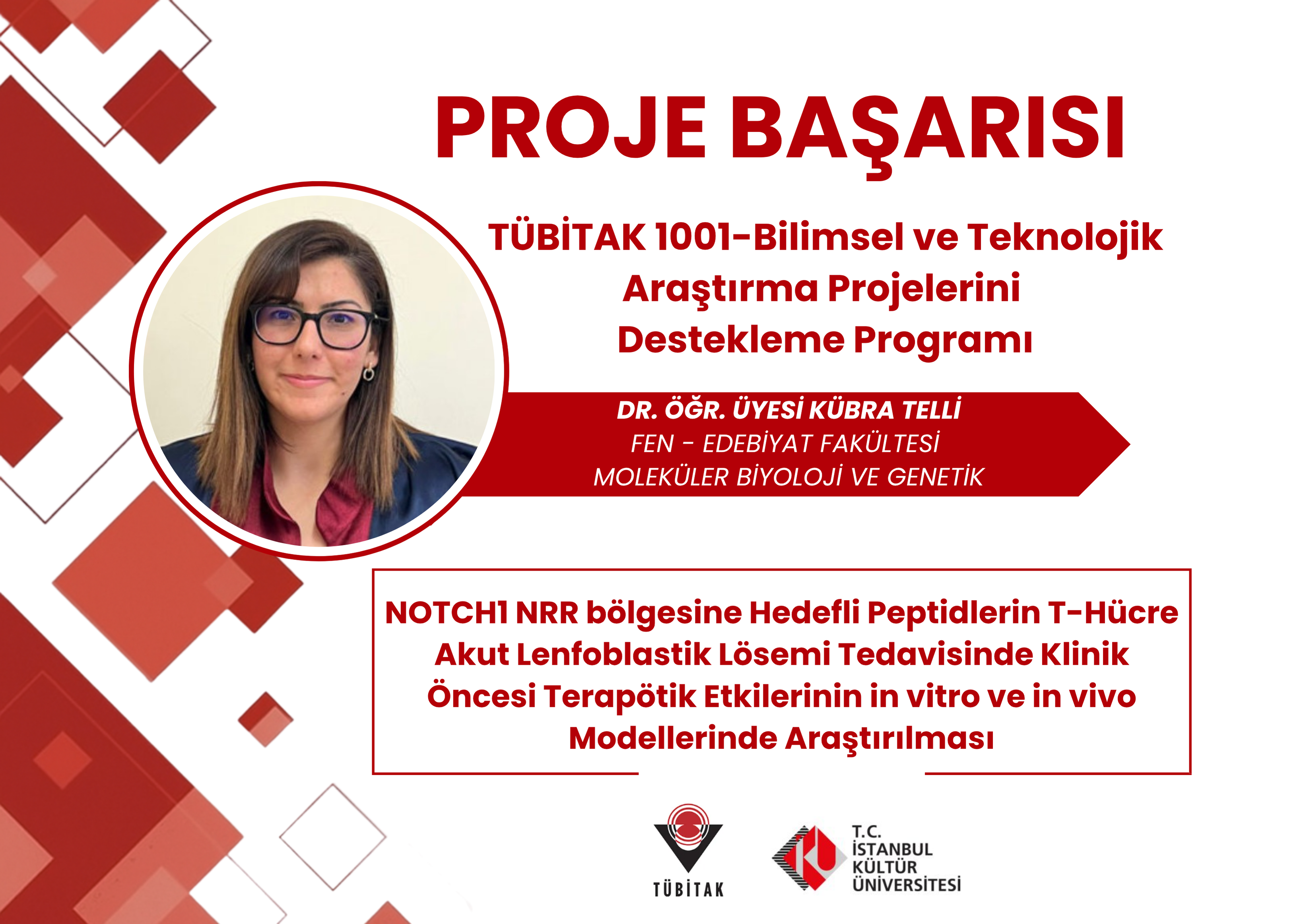 Proje Başarısı 19