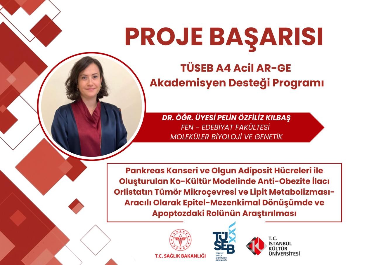 Proje Başarısı 20