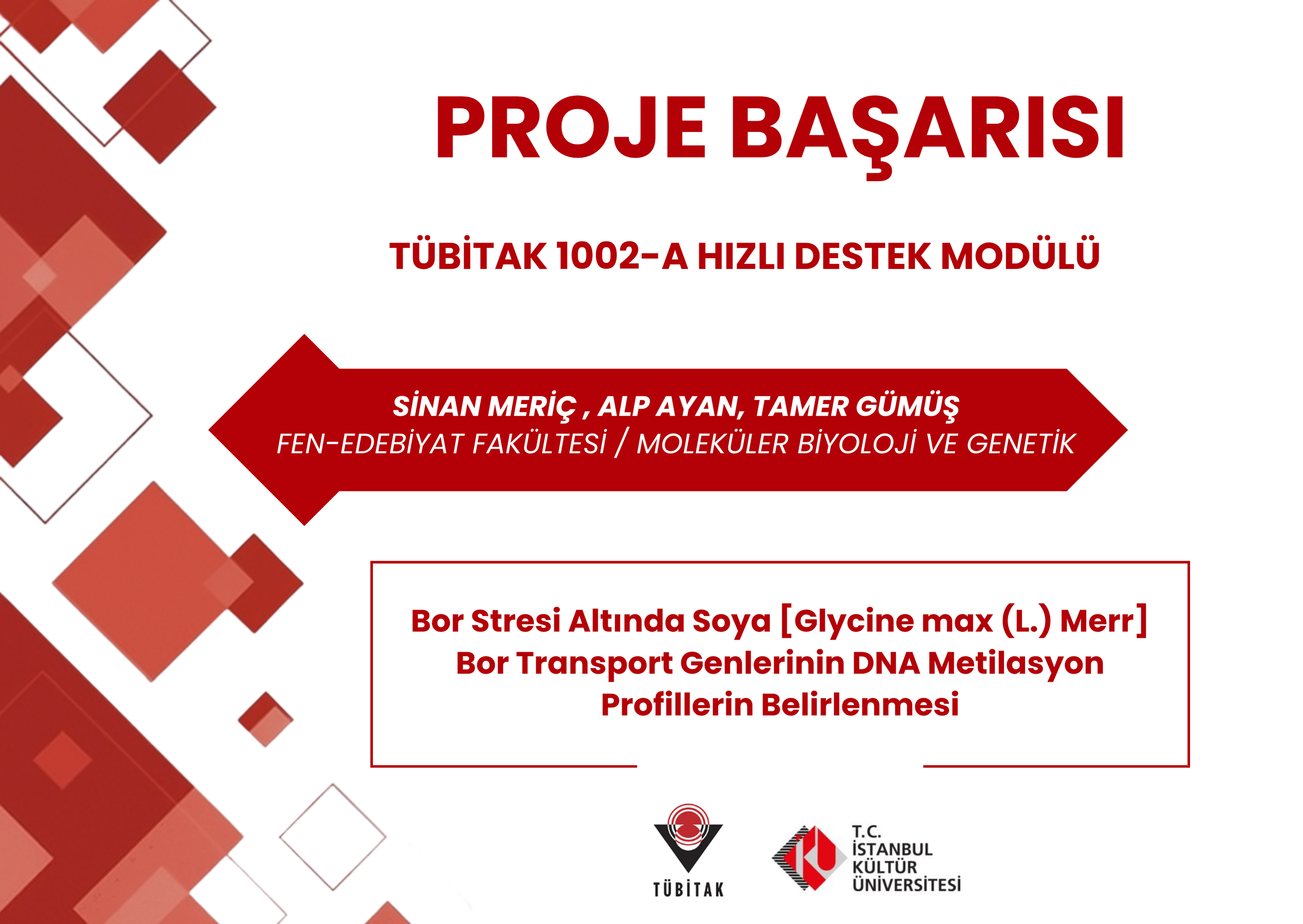 Proje Başarısı 29