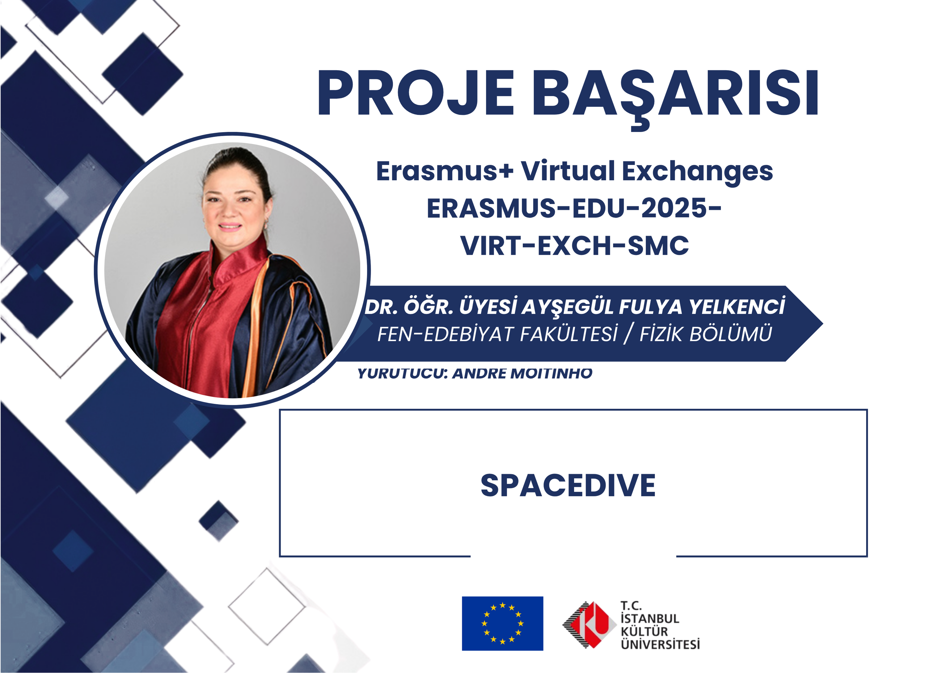 Proje Başarısı 38