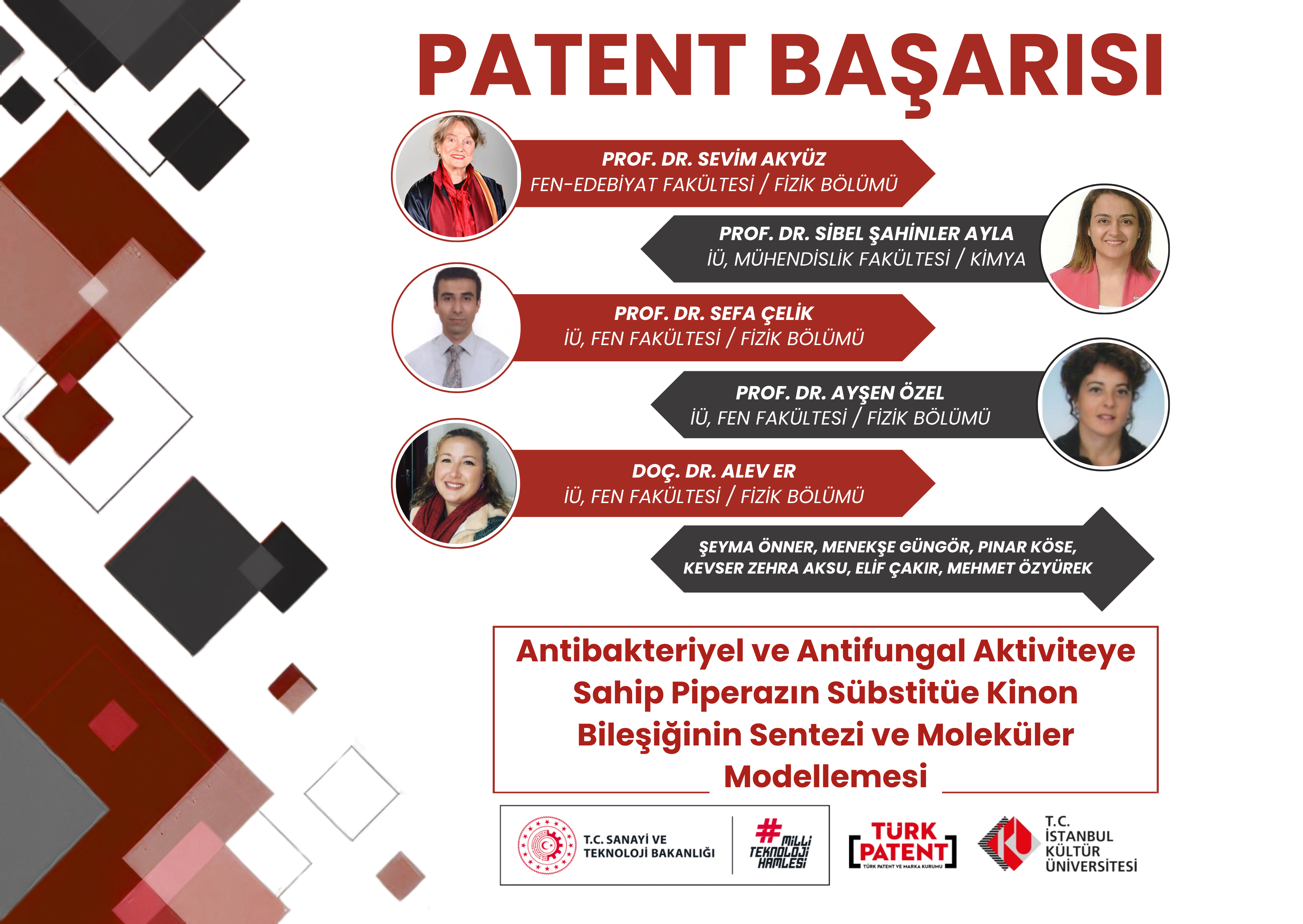 Proje Başarısı 48
